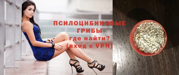 соль ск Ладушкин