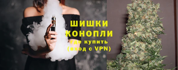 соль ск Ладушкин