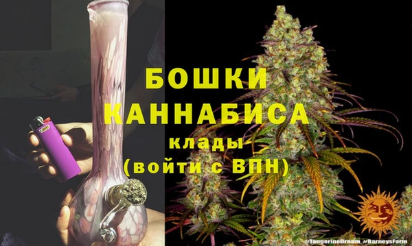 соль ск Ладушкин