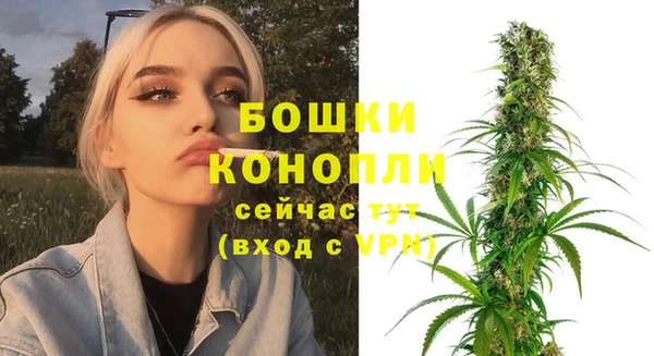 соль ск Ладушкин
