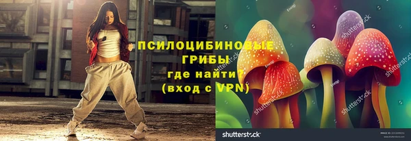 соль ск Ладушкин