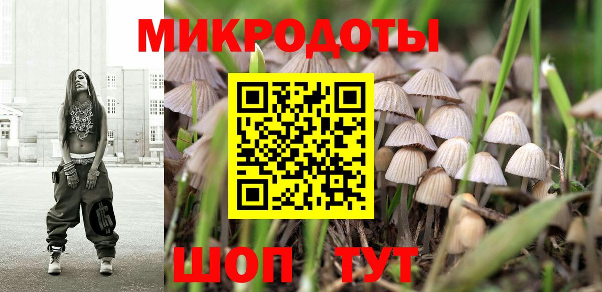 купить наркотики цена  Галлюциногенные грибы Psilocybe  Вход с VPN  Черемхово  Галлюциногенные грибы мухоморы 